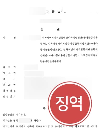 [성폭력범죄 고소대리] 성범죄전문변호사의 조력으로 의뢰인 고소대리 조력 통해 피고인 징역형 유지해냄